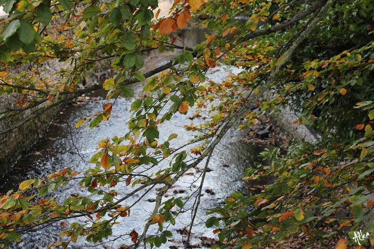 Alkaseltz citation Joe Dassin