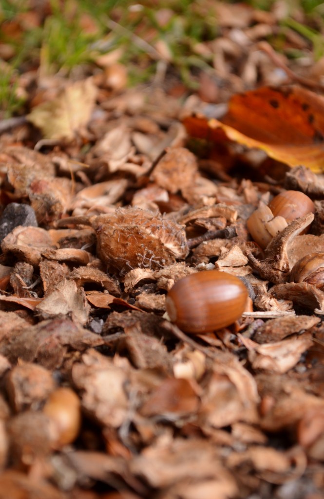 Béa Quand je serais...