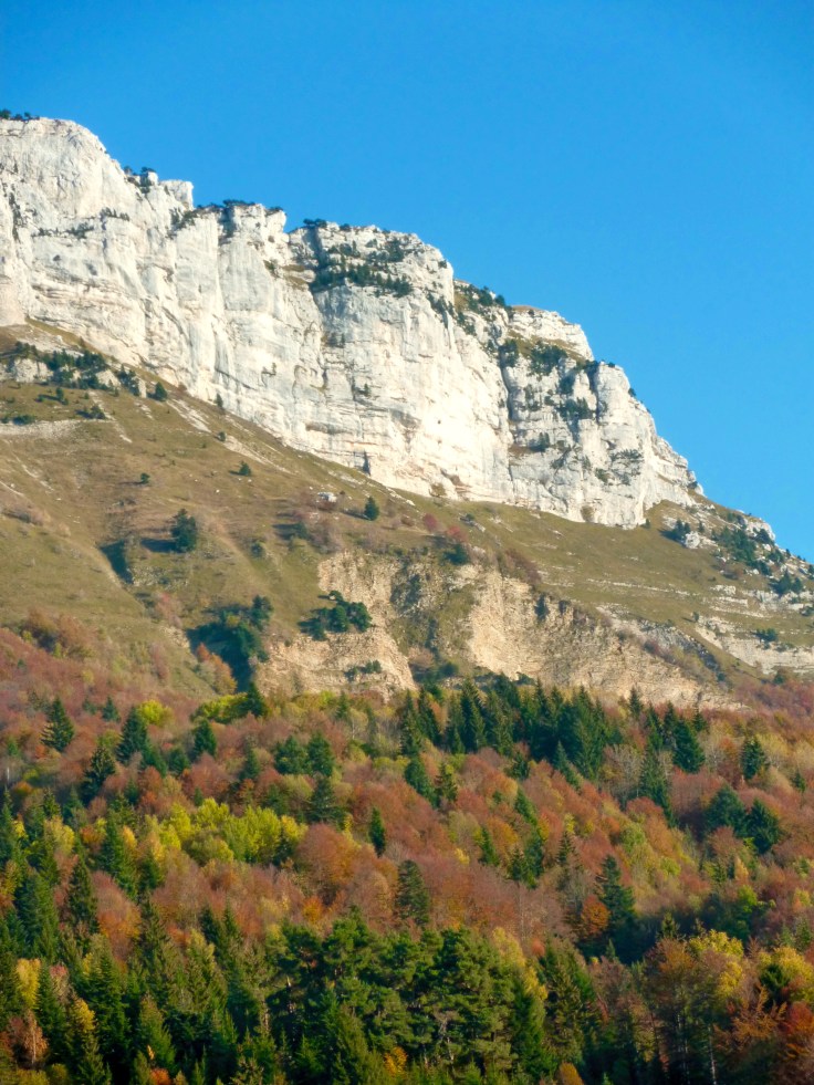 Laurine description 2