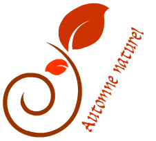 Logo Automne naturel